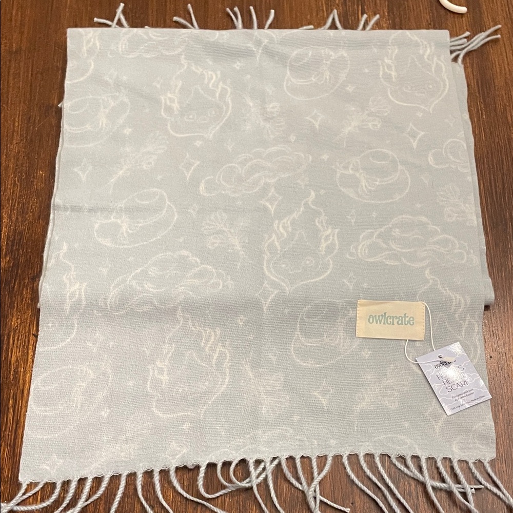 NWT Owlcrate Light Gray Scarf with Fringe